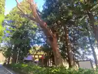 日吉神社(青森県)