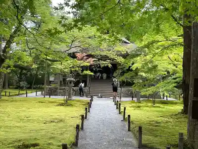 三千院門跡(京都府)