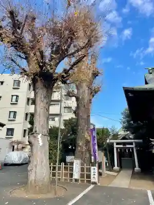 横山神社(東京都)