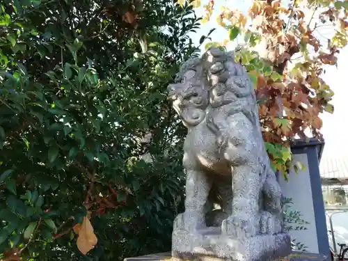 香取神社（旭町香取神社・大鳥神社）の狛犬