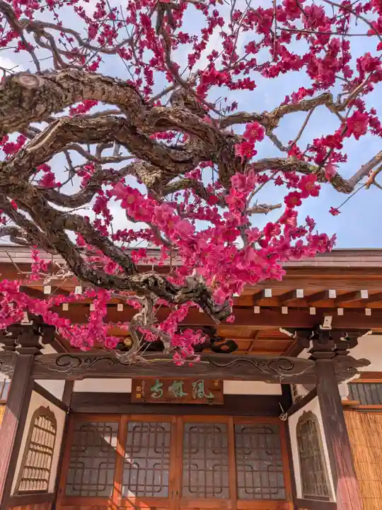 鳳林寺(東京都)
