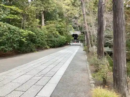 鶴岡八幡宮(神奈川県)