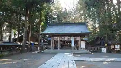 諏訪大社の本殿・本堂