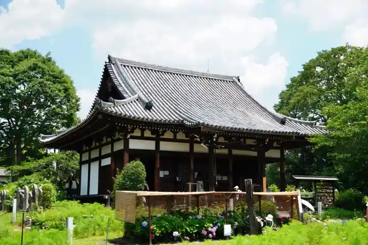 般若寺 ❁コスモス寺❁(奈良県)