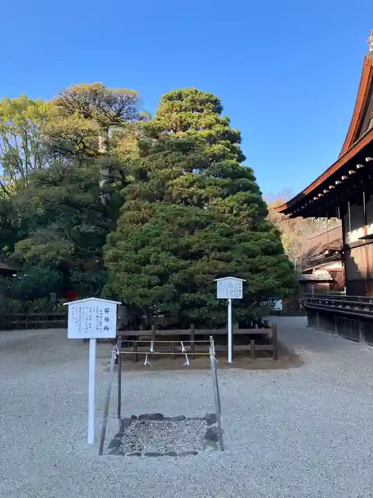 賀茂御祖神社(下鴨神社)(京都府)