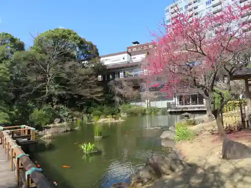 東郷神社の庭園