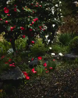 一乗院(開運出世筑波不動尊) (茨城県)