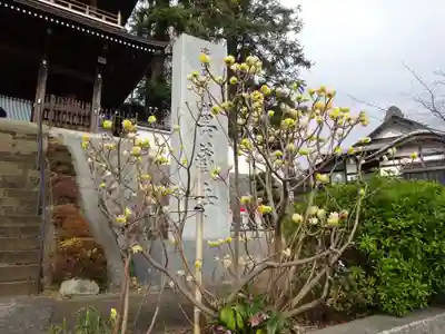 萬蔵寺のその他建物