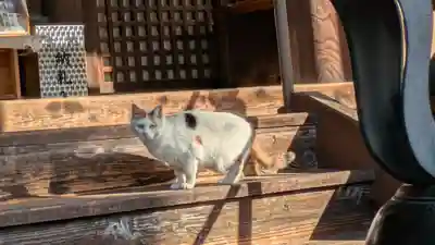 行願寺（革堂）(京都府)