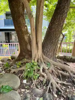 八景天祖神社(東京都)
