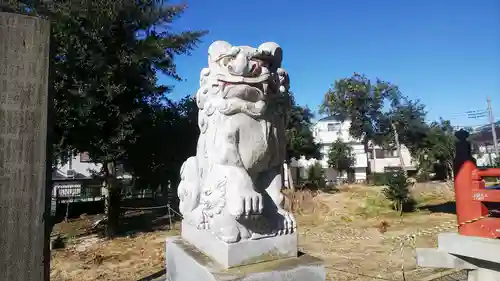 舘氷川神社の狛犬