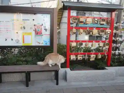 駒込妙義神社(東京都)