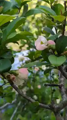 龍安寺(京都府)