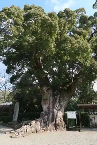 粉河寺(和歌山県)
