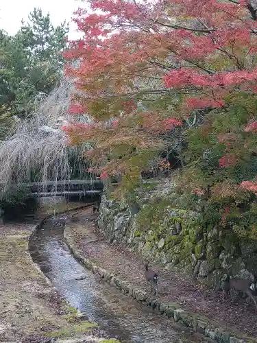 厳島神社の周辺
