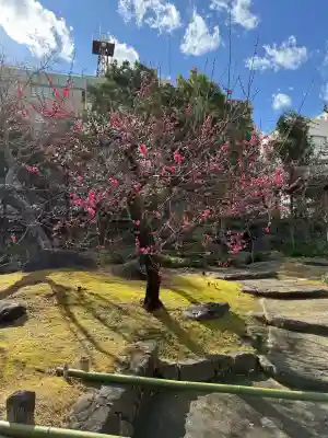 湯島天満宮の{uncategorized: "未分類", other: "その他", undefined: "問題あり", building: "その他建物", grave: "お墓", sacred_gate: "鳥居", guardian: "狛犬", statue: "像", buddha: "仏像", history: "歴史", nature: "自然", garden: "庭園", animal: "動物", pagoda: "塔", temizu: "手水舎", mountain_gate: "山門・神門", sanctuary: "本殿・本堂", subordinate: "末社・摂社", art: "芸術", scenery: "景色", jizo: "地蔵", ema: "絵馬", goshuin: "御朱印", omikuji: "おみくじ", items: "授与品その他", amulet: "お守り", goshuincho: "御朱印帳", eats: "食事", festival: "お祭り", votive_dance: "神楽", shichigosan: "七五三参", wedding: "結婚式", experience: "体験その他", initially: "初詣", around: "周辺", anti_infection: "感染症対策"}