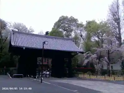 輪王寺両大師堂(寛永寺輪王殿)の{uncategorized: "未分類", other: "その他", undefined: "問題あり", building: "その他建物", grave: "お墓", sacred_gate: "鳥居", guardian: "狛犬", statue: "像", buddha: "仏像", history: "歴史", nature: "自然", garden: "庭園", animal: "動物", pagoda: "塔", temizu: "手水舎", mountain_gate: "山門・神門", sanctuary: "本殿・本堂", subordinate: "末社・摂社", art: "芸術", scenery: "景色", jizo: "地蔵", ema: "絵馬", goshuin: "御朱印", omikuji: "おみくじ", items: "授与品その他", amulet: "お守り", goshuincho: "御朱印帳", eats: "食事", festival: "お祭り", votive_dance: "神楽", shichigosan: "七五三参", wedding: "結婚式", experience: "体験その他", initially: "初詣", around: "周辺", anti_infection: "感染症対策"}