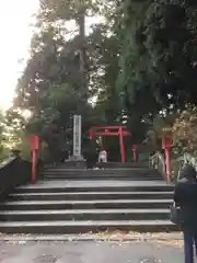 箱根神社の鳥居