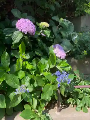 松嶺院(神奈川県)