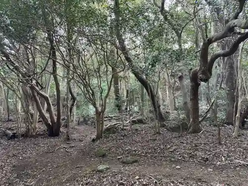 立石神社の{uncategorized: "未分類", other: "その他", undefined: "問題あり", building: "その他建物", grave: "お墓", sacred_gate: "鳥居", guardian: "狛犬", statue: "像", buddha: "仏像", history: "歴史", nature: "自然", garden: "庭園", animal: "動物", pagoda: "塔", temizu: "手水舎", mountain_gate: "山門・神門", sanctuary: "本殿・本堂", subordinate: "末社・摂社", art: "芸術", scenery: "景色", jizo: "地蔵", ema: "絵馬", goshuin: "御朱印", omikuji: "おみくじ", items: "授与品その他", amulet: "お守り", goshuincho: "御朱印帳", eats: "食事", festival: "お祭り", votive_dance: "神楽", shichigosan: "七五三参", wedding: "結婚式", experience: "体験その他", initially: "初詣", around: "周辺", anti_infection: "感染症対策"}