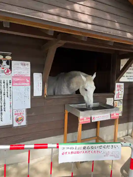 鹿児島神宮の{uncategorized: "未分類", other: "その他", undefined: "問題あり", building: "その他建物", grave: "お墓", sacred_gate: "鳥居", guardian: "狛犬", statue: "像", buddha: "仏像", history: "歴史", nature: "自然", garden: "庭園", animal: "動物", pagoda: "塔", temizu: "手水舎", mountain_gate: "山門・神門", sanctuary: "本殿・本堂", subordinate: "末社・摂社", art: "芸術", scenery: "景色", jizo: "地蔵", ema: "絵馬", goshuin: "御朱印", omikuji: "おみくじ", items: "授与品その他", amulet: "お守り", goshuincho: "御朱印帳", eats: "食事", festival: "お祭り", votive_dance: "神楽", shichigosan: "七五三参", wedding: "結婚式", experience: "体験その他", initially: "初詣", around: "周辺", anti_infection: "感染症対策"}