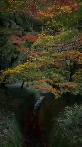 清滝寺徳源院(滋賀県)