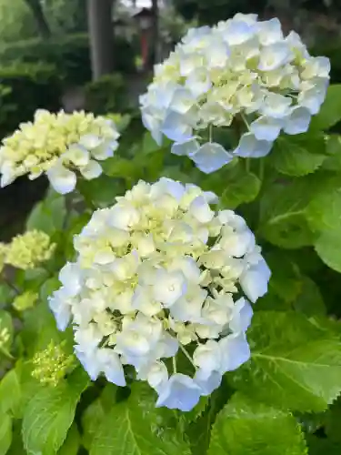 宮地嶽神社(福岡県)