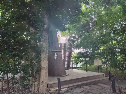 鎮守氷川神社の体験その他
