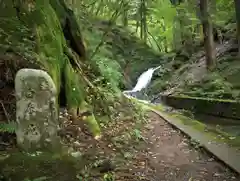 瀧尾神社（日光二荒山神社別宮）の自然