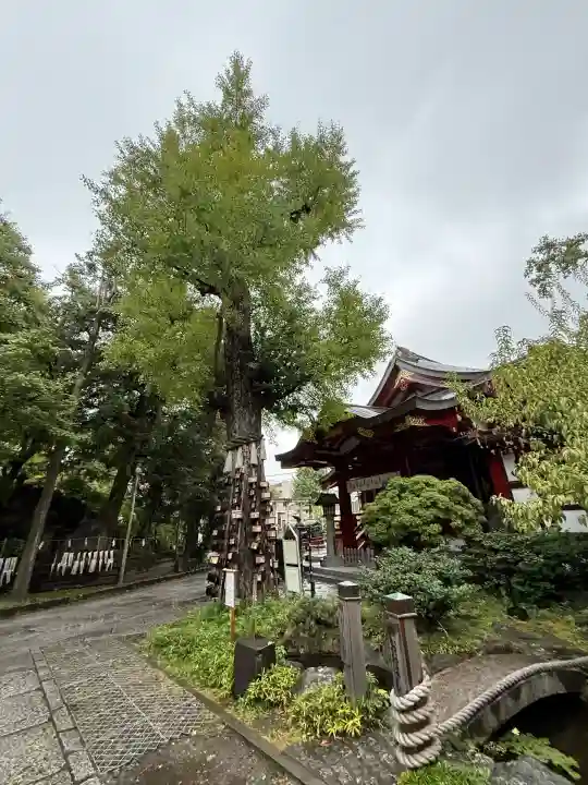 素盞雄神社(東京都)