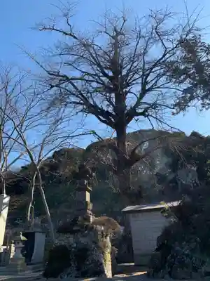 真福寺(千葉県)