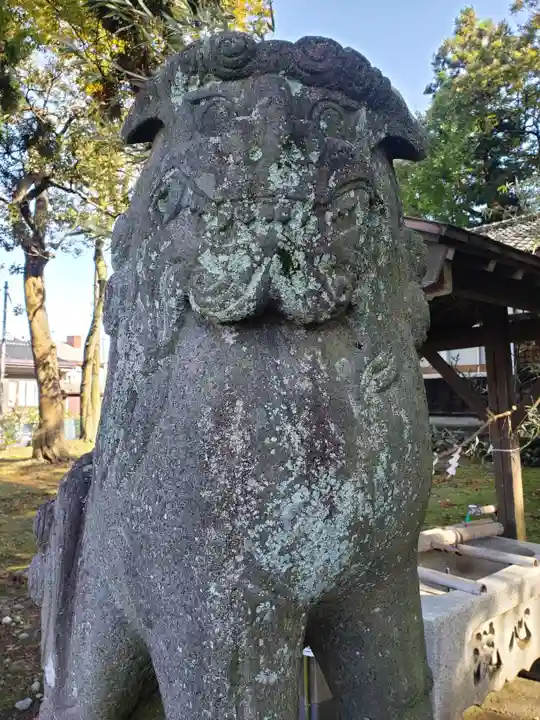 笹津神社の狛犬