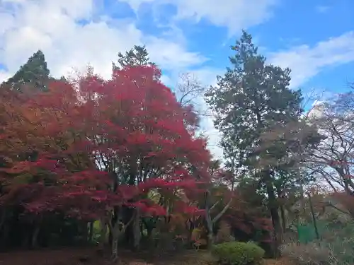 温泉寺(兵庫県)
