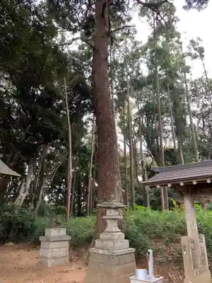 天之宮大神(千葉県)