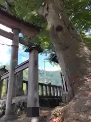 雁田水穂神社の自然