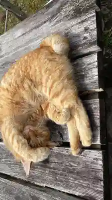 小松寺(千葉県)