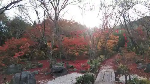 宝筐院の庭園