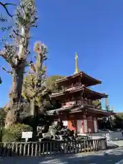 宝仙寺(東京都)