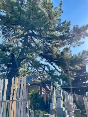 本光寺(東京都)