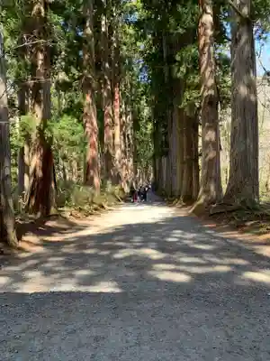 戸隠神社奥社の周辺