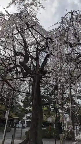 大報恩寺（千本釈迦堂）(京都府)