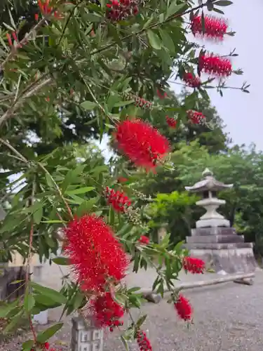 沙沙貴神社(滋賀県)
