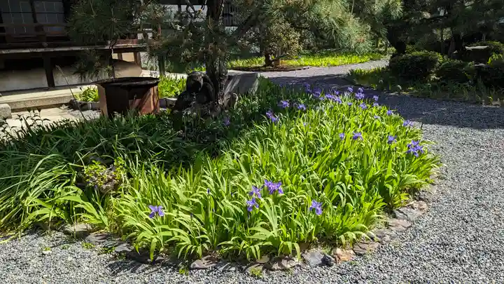 得浄明院(善光寺別院)(京都府)