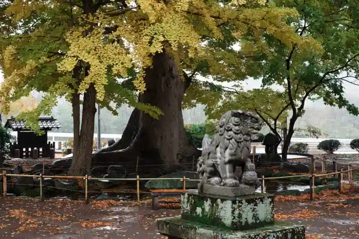 白鳥神社(長野県)