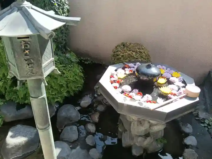 神楽坂安養寺の{uncategorized: "未分類", other: "その他", undefined: "問題あり", building: "その他建物", grave: "お墓", sacred_gate: "鳥居", guardian: "狛犬", statue: "像", buddha: "仏像", history: "歴史", nature: "自然", garden: "庭園", animal: "動物", pagoda: "塔", temizu: "手水舎", mountain_gate: "山門・神門", sanctuary: "本殿・本堂", subordinate: "末社・摂社", art: "芸術", scenery: "景色", jizo: "地蔵", ema: "絵馬", goshuin: "御朱印", omikuji: "おみくじ", items: "授与品その他", amulet: "お守り", goshuincho: "御朱印帳", eats: "食事", festival: "お祭り", votive_dance: "神楽", shichigosan: "七五三参", wedding: "結婚式", experience: "体験その他", initially: "初詣", around: "周辺", anti_infection: "感染症対策"}