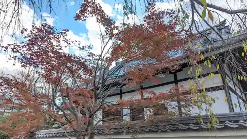本満寺（本願満足寺）(京都府)