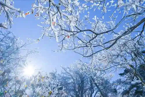 弥山神社（天河大辨財天社奥宮）(奈良県)