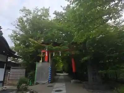 宇治神社の周辺