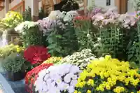 美奈宜神社(福岡県)