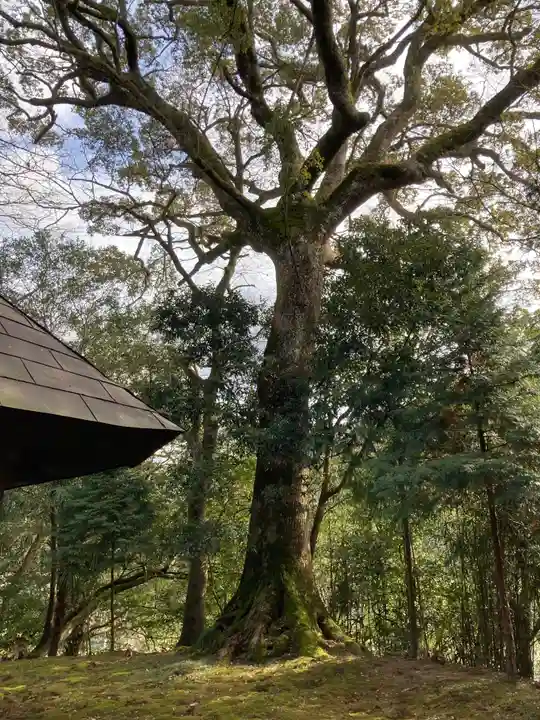五明神社の自然
